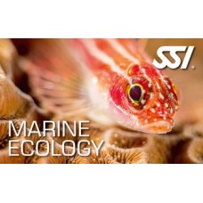 SSI kurs Morska Ekologia
